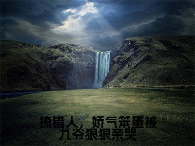 高赞小说撩错人，娇气笨蛋被九爷狠狠亲哭（郁惊画）完结阅读_郁惊画撩错人，娇气笨蛋被九爷狠狠亲哭免费看全文