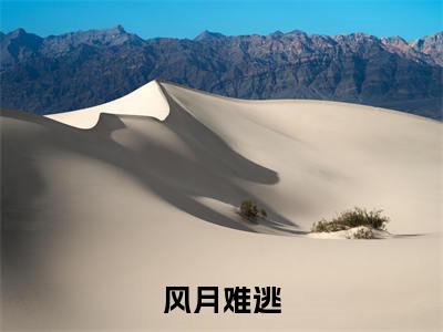 温菱顾晏桥全文免费（风月难逃）全文免费阅读无弹窗大结局_（温菱顾晏桥全文免费）