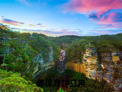 钟立枭姜锦意（姜锦意钟立枭）的小说完整版免费阅读 主角是（钟立枭姜锦意）姜锦意钟立枭无弹窗免费阅读