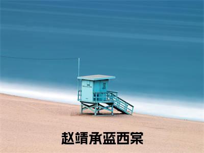 赵靖承蓝西棠蓝西棠赵靖承抖音热推新书小说全文阅读 （蓝西棠赵靖承）全文免费阅读大结局
