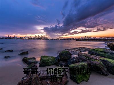 哥哥，你能不能把烟掐了全文免费阅读无弹窗大结局_ 秦漫靳之衍最新章节列表笔趣阁