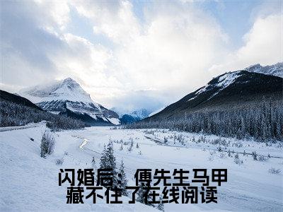闪婚后：傅先生马甲藏不住了（ 孟宁傅廷修）小说全文免费阅读正版无弹窗，闪婚后：傅先生马甲藏不住了免费阅读