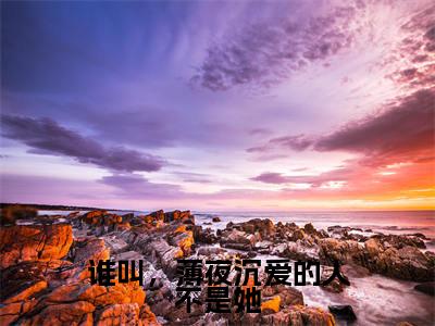 谁叫，薄夜沉爱的人不是她全文最新章节（苏棠薄夜沉）全文免费阅读无弹窗大结局_苏棠薄夜沉免费阅读（谁叫，薄夜沉爱的人不是她全文）