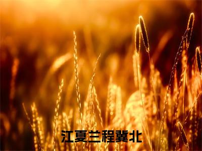 江夏兰程冀北免费阅读无弹窗大结局-程冀北江夏兰（最新全章节大结局）全文阅读