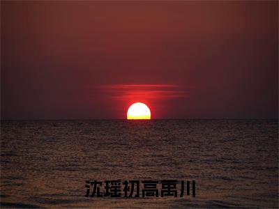 高禹川沈瑶初（沈瑶初高禹川）小说全文无删减版完整版_ 高禹川沈瑶初最新章节列表_笔趣阁
