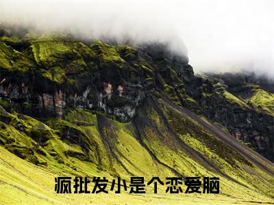 疯批发小是个恋爱脑（陈挽侬许南席）小说全文免费阅读无弹窗大结局_疯批发小是个恋爱脑全文在线阅读无弹窗（陈挽侬许南席）
