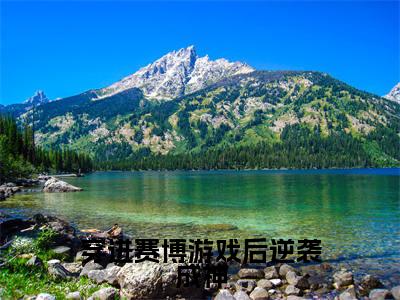穿进赛博游戏后逆袭成神（江寂小说）小说全文免费阅读_穿进赛博游戏后逆袭成神江寂小说下载_最新章节列表笔趣阁（穿进赛博游戏后逆袭成神）