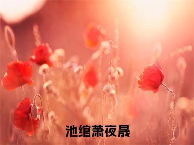 萧夜晟池绾（池绾萧夜晟）全文免费阅读无弹窗大结局_（萧夜晟池绾）池绾萧夜晟最新章节列表_笔趣阁