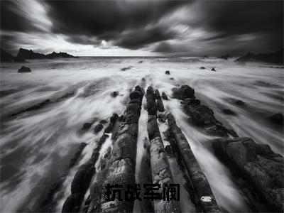林玄小说（抗战军阀）免费阅读-抗战军阀（林玄）全章节最新阅读