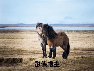 武侠楼主（李莲花）快手热推小说主角武侠楼主完整版在线阅读