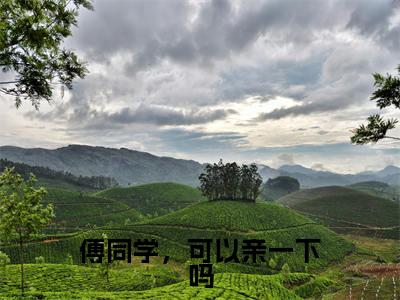 傅同学，可以亲一下吗（姜珥傅听寒）完整版全文在线赏析-傅同学，可以亲一下吗精彩美文摘抄