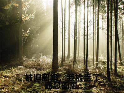 被迫离婚，我捡走了霸总的崽 （乔依顾策免费阅读无弹窗）乔依顾策最新章节列表_笔趣阁