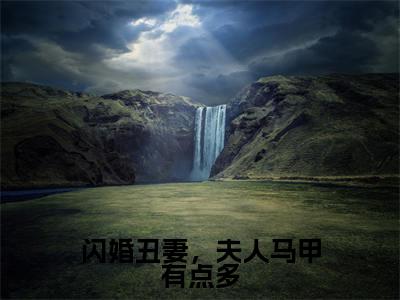 闪婚丑妻，夫人马甲有点多（裴力衍乔芮）精选热门小说-小说（闪婚丑妻，夫人马甲有点多）裴力衍乔芮全文免费阅读最新章节列表