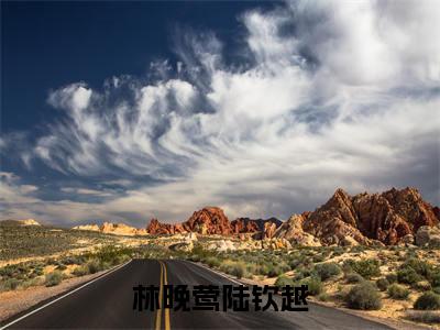 林晚莺陆钦越（陆钦越林晚莺小说免费阅读）全文免费阅读无弹窗大结局_（陆钦越林晚莺）林晚莺陆钦越小说免费阅读最新章节列表笔趣阁（陆钦越林晚莺免费阅读）