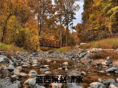 蓝西棠赵靖承最新章节（赵靖承蓝西棠）全文免费阅读无弹窗大结局_赵靖承蓝西棠免费阅读（蓝西棠赵靖承）