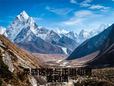 林怜儿南宫曜（柔弱医修与正道仙君要和离）全文免费阅读-小说柔弱医修与正道仙君要和离最新章节阅读笔趣阁