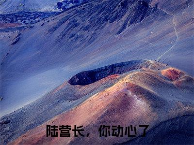 陆营长，你动心了（孟清念陆战骁）全文免费阅读无弹窗大结局_（孟清念陆战骁免费阅读全文大结局)最新章节列表_笔趣阁（陆营长，你动心了）