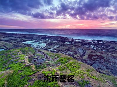 沈雨楚铭《楚铭沈雨小说免费阅读》完整-沈雨楚铭小说（楚铭沈雨）全文最新阅读