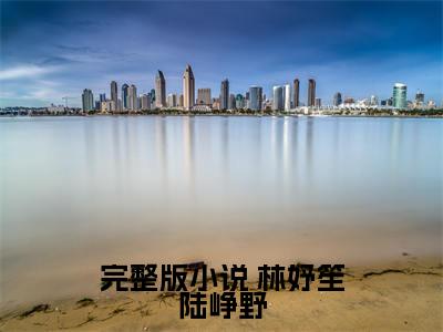 小说爆撩！反派大佬别太爱全文免费阅读  林妤笙陆峥野小说全文在线赏析_笔趣阁