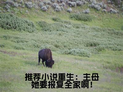  沐云书墨归（重生：主母她要报复全家啊！）全文免费阅读无弹窗大结局_ 沐云书墨归最新章节列表_笔趣阁（重生：主母她要报复全家啊！）