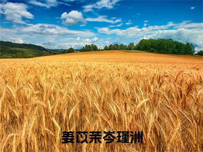 岑瑾洲姜苡茉全文（姜苡茉岑瑾洲）完整版小说阅读_姜苡茉岑瑾洲全本列表免费笔趣阁（岑瑾洲姜苡茉）