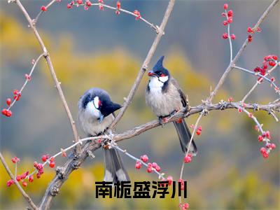 (热推新书)（南栀盛浮川）全文免费阅读无弹窗大结局-盛浮川南栀全文阅读无弹窗