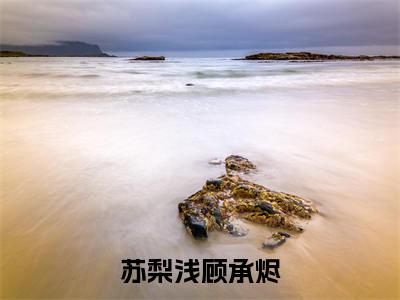 苏梨浅顾承烬（顾承烬苏梨浅）小说全文免费_苏梨浅顾承烬（顾承烬苏梨浅）最新章节目录笔趣阁（顾承烬苏梨浅）