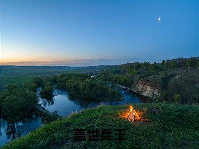 盖世兵王全文免费阅读无弹窗大结局_（龙逸）盖世兵王完整版全文在线赏析