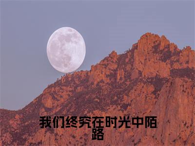我们终究在时光中陌路(谢婉茹沈晚琛)小说全文免费阅读无弹窗大结局_（我们终究在时光中陌路全文免费阅读）谢婉茹沈晚琛最新章节列表_笔趣阁