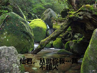 玄辞清芙（仙君，从此你我…两不相欠）全文免费阅读无弹窗大结局_（玄辞清芙）仙君，从此你我…两不相欠最新章节列表_笔趣阁（玄辞清芙）