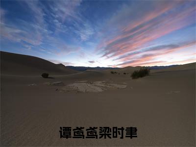 谭鸢鸢梁时聿（梁时聿谭鸢鸢）全文免费阅读大结局-梁时聿谭鸢鸢最新章节列表免费阅读大结局