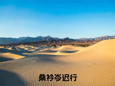 桑衿岑迟行（岑迟行桑衿）小说全文免费_桑衿岑迟行小说（岑迟行桑衿）最新章节目录笔趣阁（桑衿岑迟行）