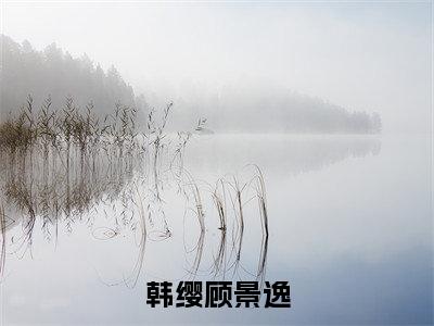 韩缨顾景逸无广告小说免费阅读，韩缨顾景逸顾景逸韩缨完结小说在线阅读
