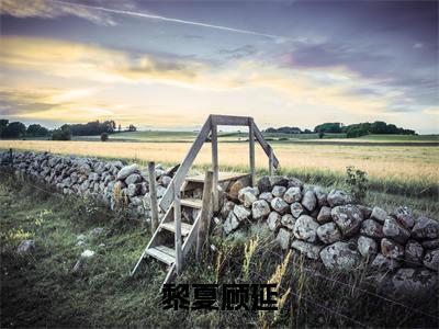 顾延黎夏（黎夏顾延）小说好看吗-顾延黎夏最后结局如何（黎夏顾延）小说无弹窗免费阅读