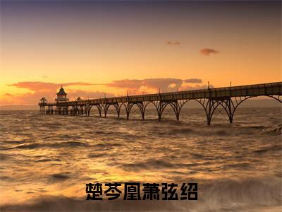 萧弦绍楚芩凰（楚芩凰萧弦绍）今日爆款小说-（萧弦绍楚芩凰）楚芩凰萧弦绍完结大结局免费阅读