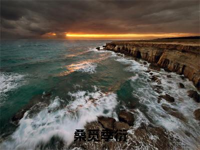 桑觅季衍最新章节（季衍桑觅）全文免费阅读无弹窗大结局_桑觅季衍免费阅读（季衍桑觅）