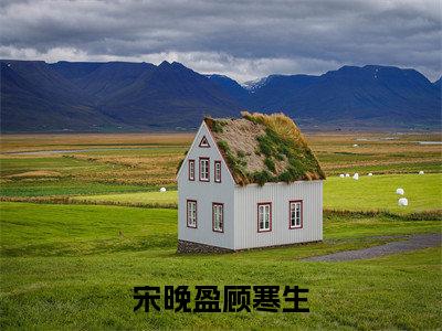 宋晚盈顾寒生小说(顾寒生宋晚盈)全文免费阅读无弹窗大结局_顾寒生宋晚盈小说免费阅读无弹窗最新章节列表_