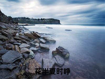 花半夏时峥（时峥花半夏）小说全文免费阅读无弹窗_（时峥花半夏）花半夏时峥小说全文免费阅读最新章节列表笔趣阁（时峥花半夏）