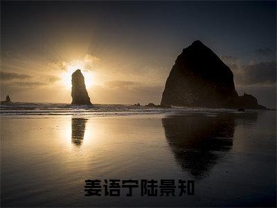 陆景知姜语宁（姜语宁陆景知）全文免费阅读大结局-陆景知姜语宁最新章节列表笔趣阁