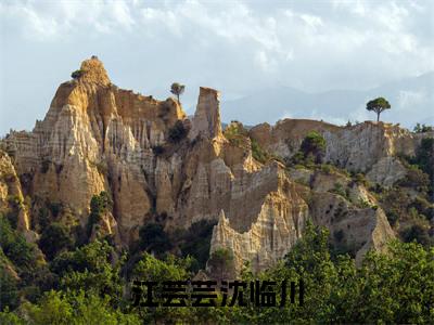 江芸芸沈临川全文免费阅读无弹窗大结局_（沈临川江芸芸）江芸芸沈临川免费阅读无弹窗最新章节列表_笔趣阁