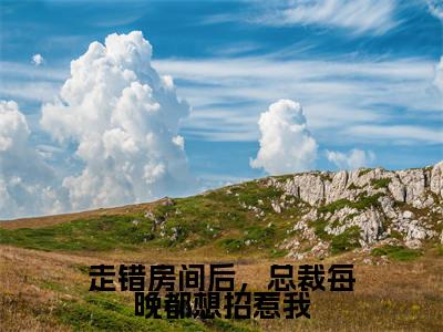 陆明月晏承之全文免费阅读大结局-走错房间后，总裁每晚都想招惹我结局免费阅读