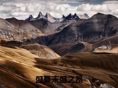 盛夏末盛之昂（盛之昂盛夏末）全文免费阅读无弹窗大结局_盛夏末盛之昂小说全文免费阅读最新章节列表（盛之昂盛夏末）