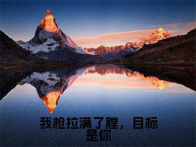 我枪拉满了膛，目标是你(沈安念傅铭晨）小说全文免费沈安念傅铭晨无弹窗大结局_（沈安念傅铭晨）我枪拉满了膛，目标是你全文免费江洛洛顾瑾川读最新章节列表笔趣阁（沈安念傅铭晨）