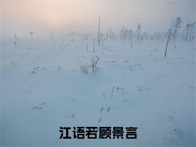 江语若顾景言（顾景言江语若）免费最新小说_顾景言江语若（江语若顾景言）免费版今日已更新