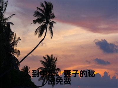 （人到中年：妻子的秘密） 方源陶军小说全文免费阅读无弹窗大结局_ 方源陶军（人到中年：妻子的秘密）最新章节列表笔趣阁