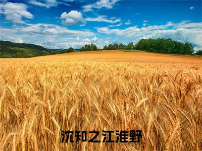 沈知之江淮野美文欣赏完整版，江淮野沈知之精彩章节在线阅读