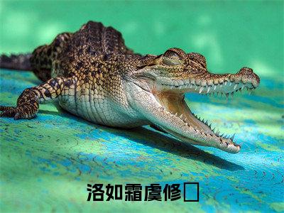 虞修璟洛如霜全集小说（洛如霜虞修璟）全文免费阅读无弹窗大结局_虞修璟洛如霜最新章节列表_笔趣阁（洛如霜虞修璟）