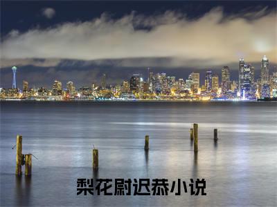 我靠内卷宠冠后宫（ 梨花尉迟恭）全文免费阅读无弹窗大结局_我靠内卷宠冠后宫在线阅读笔趣阁