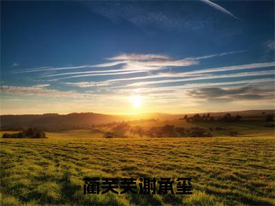 蔺芙芙谢承玺小说（谢承玺蔺芙芙）全文免费阅读无弹窗大结局_谢承玺蔺芙芙小说最新章节列表_笔趣阁