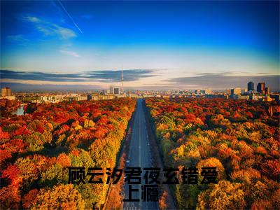 错爱上瘾，冷酷战神日日纠缠( 顾云汐君夜玄)小说全文免费阅读无弹窗大结局_错爱上瘾，冷酷战神日日纠缠最新章节列表